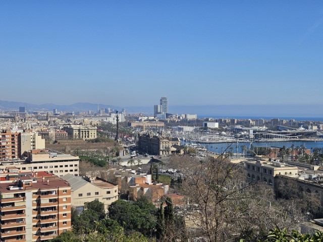 20260223_120754.jpg